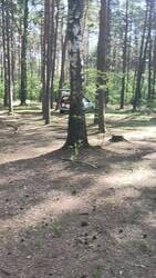 VID20250813094952.mp4