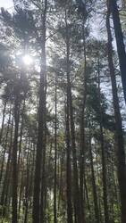 VID20250813095325.mp4