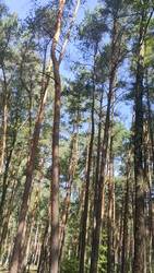 VID20250813104023.mp4