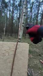 VID20250813194854.mp4