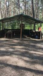 VID20250817151005.mp4