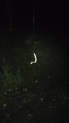 VID20250819000025.mp4