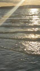 VID20250824185908.mp4